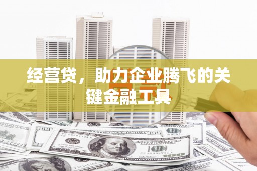 迭部经营贷，助力企业腾飞的关键金融工具