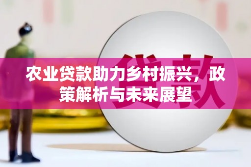迭部农业贷款助力乡村振兴，政策解析与未来展望