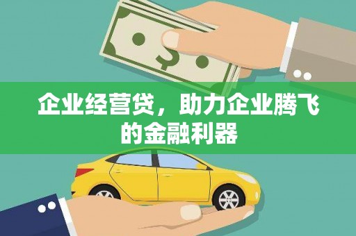 迭部企业经营贷，助力企业腾飞的金融利器