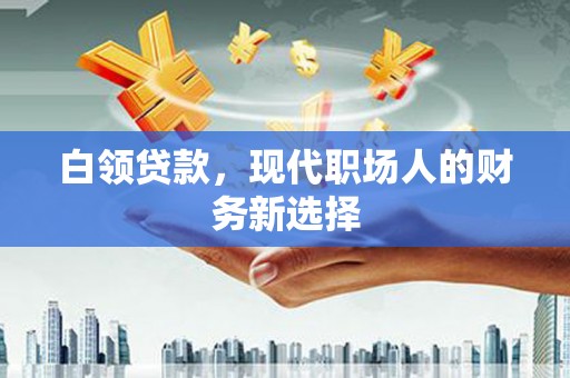 迭部白领贷款，现代职场人的财务新选择