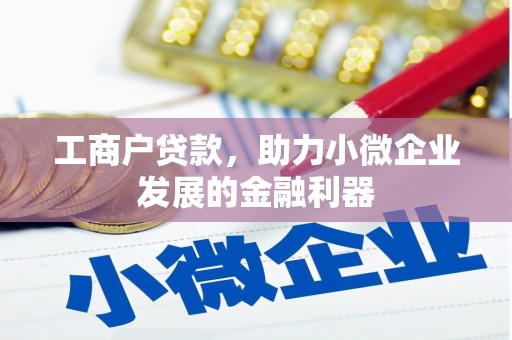 迭部工商户贷款，助力小微企业发展的金融利器