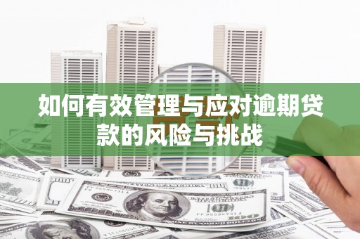 迭部如何有效管理与应对逾期贷款的风险与挑战