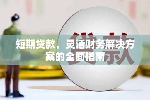 迭部短期贷款，灵活财务解决方案的全面指南