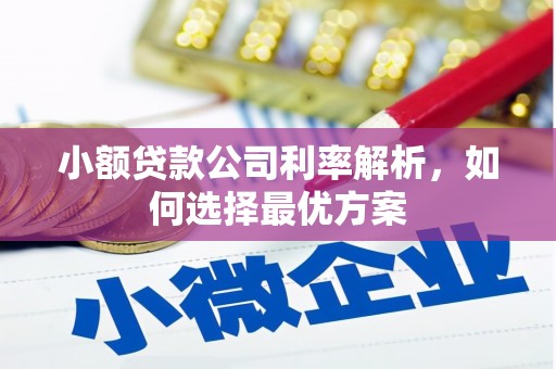 迭部小额贷款公司利率解析，如何选择最优方案