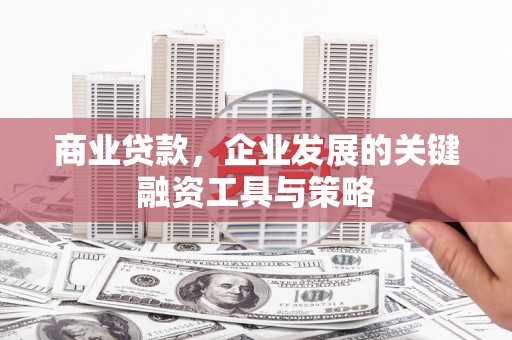 迭部商业贷款，企业发展的关键融资工具与策略