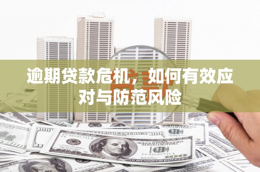 迭部逾期贷款危机，如何有效应对与防范风险