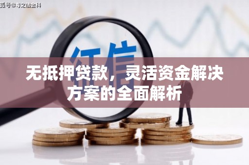 迭部无抵押贷款，灵活资金解决方案的全面解析