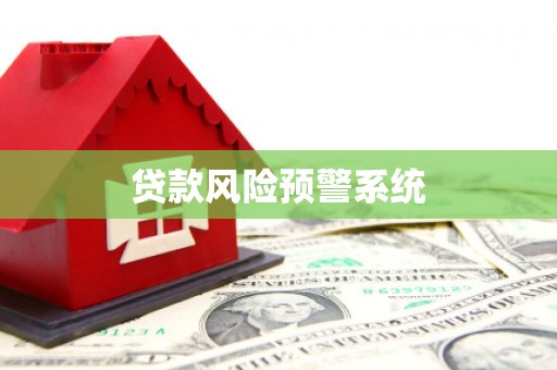 迭部贷款风险预警系统