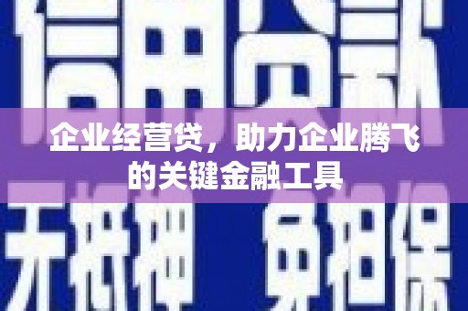 迭部企业经营贷，助力企业腾飞的关键金融工具