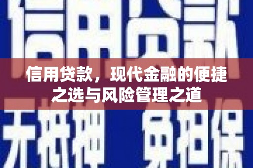 迭部信用贷款，现代金融的便捷之选与风险管理之道