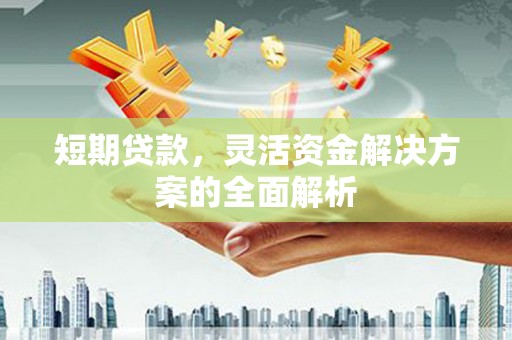 迭部短期贷款，灵活资金解决方案的全面解析