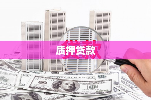 迭部质押贷款