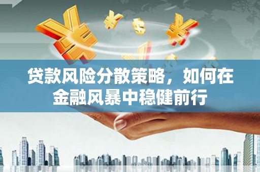 迭部贷款风险分散策略，如何在金融风暴中稳健前行