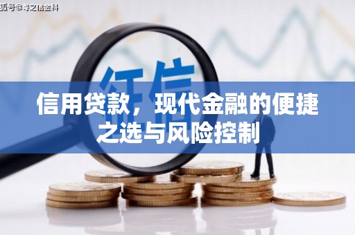 迭部信用贷款，现代金融的便捷之选与风险控制