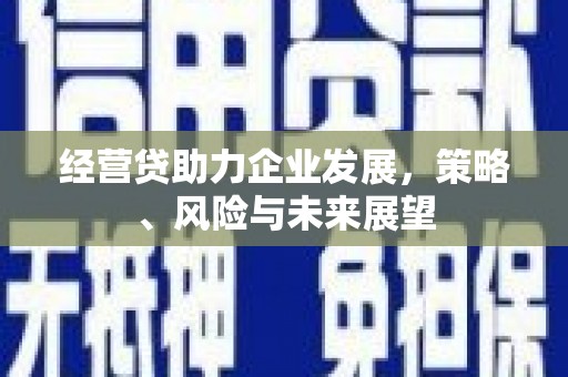 迭部经营贷助力企业发展，策略、风险与未来展望