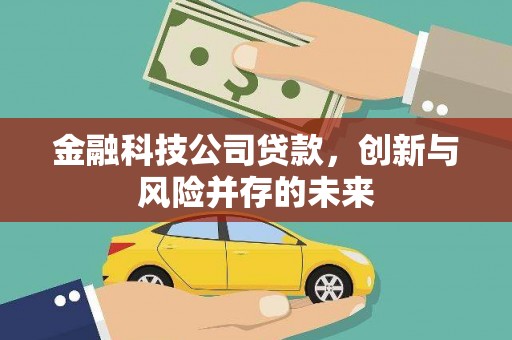 迭部金融科技公司贷款，创新与风险并存的未来