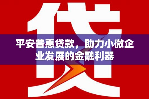 迭部平安普惠贷款，助力小微企业发展的金融利器