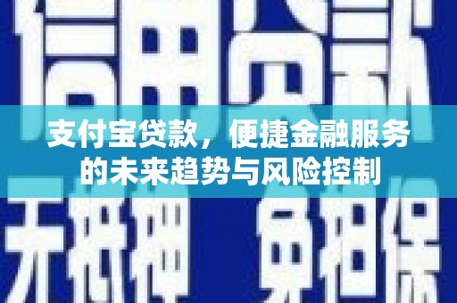 迭部支付宝贷款，便捷金融服务的未来趋势与风险控制
