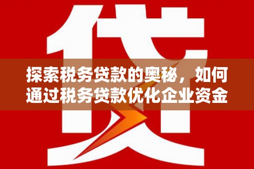 迭部探索税务贷款的奥秘，如何通过税务贷款优化企业资金流