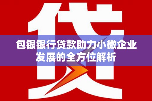 迭部包银银行贷款助力小微企业发展的全方位解析