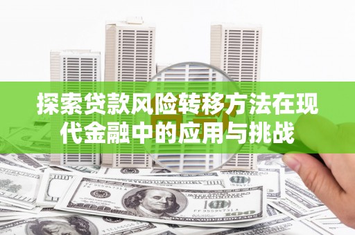 迭部探索贷款风险转移方法在现代金融中的应用与挑战
