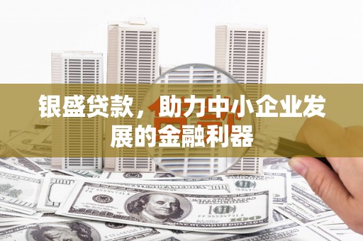 迭部银盛贷款，助力中小企业发展的金融利器