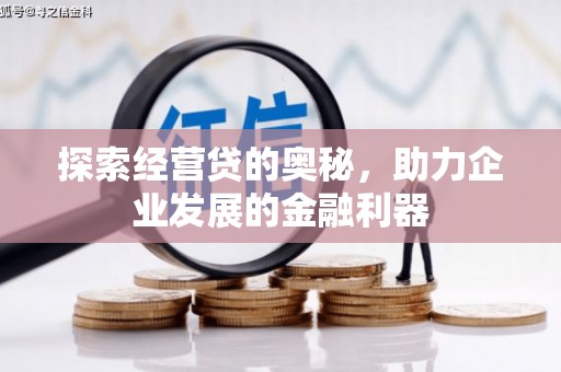 迭部探索经营贷的奥秘，助力企业发展的金融利器
