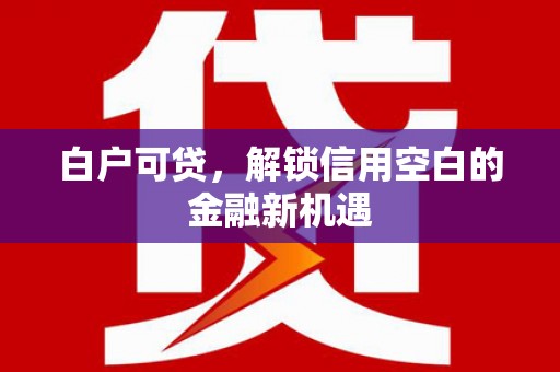 迭部白户可贷，解锁信用空白的金融新机遇