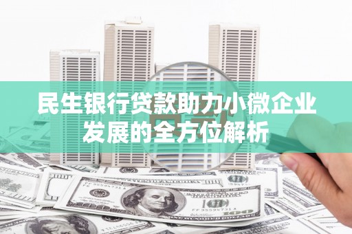 迭部民生银行贷款助力小微企业发展的全方位解析