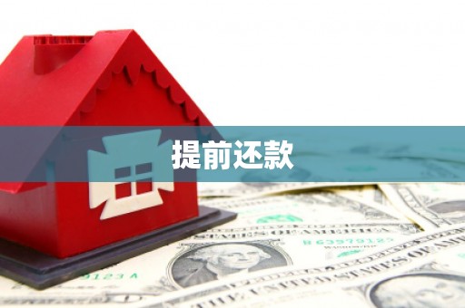 迭部提前还款