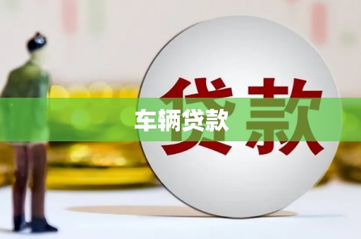 迭部车辆贷款