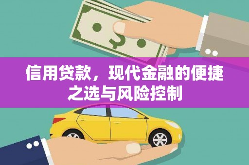 迭部信用贷款，现代金融的便捷之选与风险控制