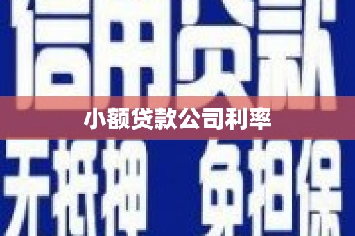 迭部小额贷款公司利率