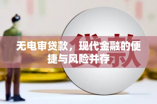 迭部无电审贷款，现代金融的便捷与风险并存