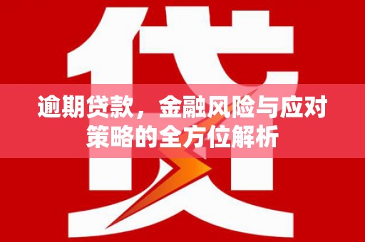 迭部逾期贷款，金融风险与应对策略的全方位解析
