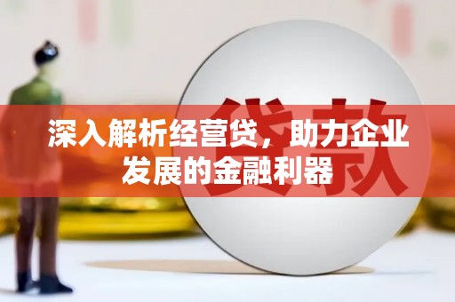 迭部深入解析经营贷，助力企业发展的金融利器