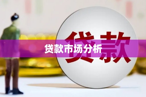 迭部贷款市场分析
