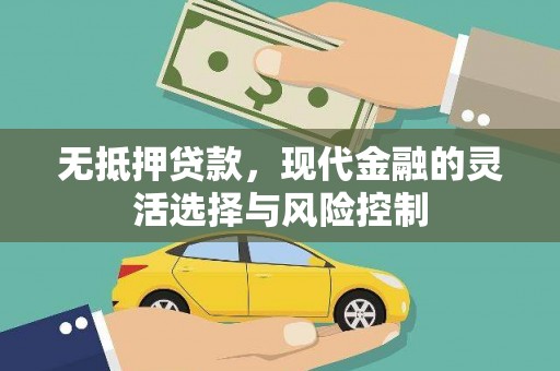 迭部无抵押贷款，现代金融的灵活选择与风险控制