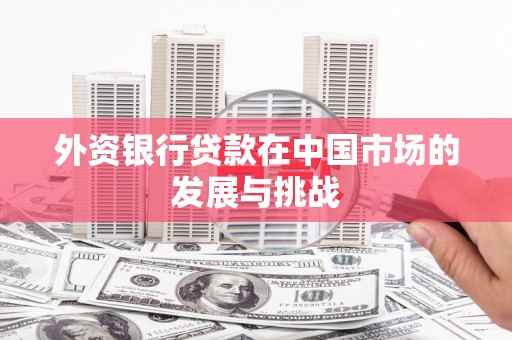 迭部外资银行贷款在中国市场的发展与挑战