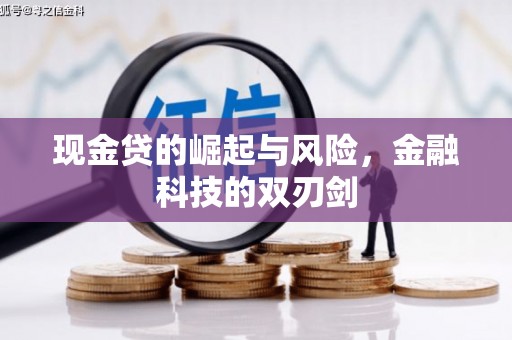 迭部现金贷的崛起与风险，金融科技的双刃剑