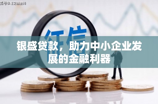 迭部银盛贷款，助力中小企业发展的金融利器