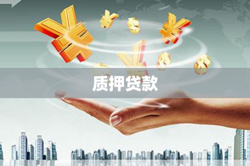 迭部质押贷款