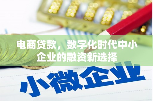 迭部电商贷款，数字化时代中小企业的融资新选择