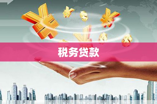 迭部税务贷款
