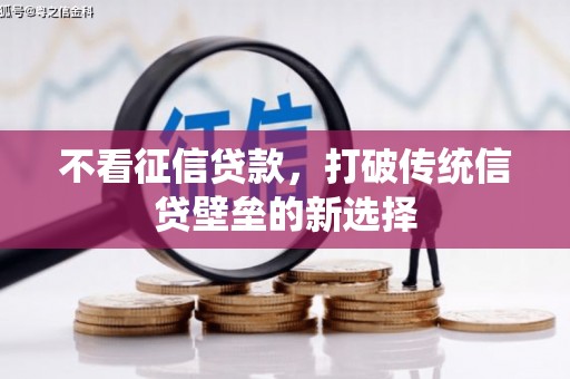 迭部不看征信贷款，打破传统信贷壁垒的新选择