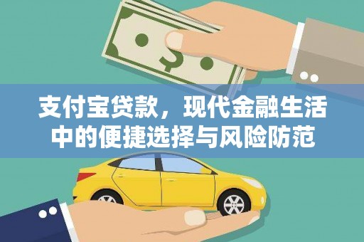 迭部支付宝贷款，现代金融生活中的便捷选择与风险防范