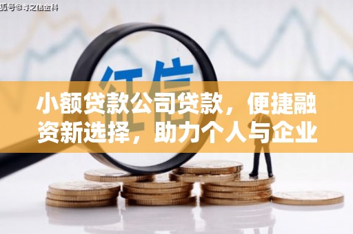 迭部小额贷款公司贷款，便捷融资新选择，助力个人与企业成长