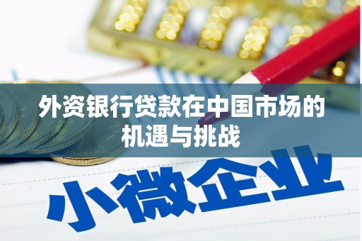 迭部外资银行贷款在中国市场的机遇与挑战