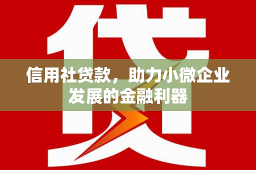 迭部信用社贷款，助力小微企业发展的金融利器