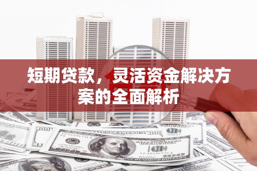 迭部短期贷款，灵活资金解决方案的全面解析